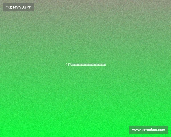 FIFA世界杯游戏从预选赛开始到决赛的征程沉浸式冠军之路
